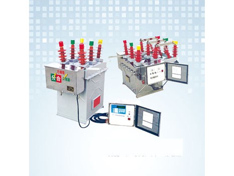 ZW8-12  C系列智能型戶外高壓真空斷路器