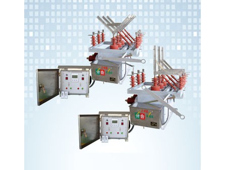 ZW10-12XDG系列戶外高壓雙電源互投裝置